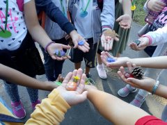 IMG_20190914_094715.jpg